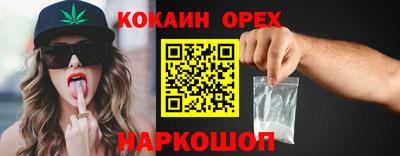 дмт Аргун