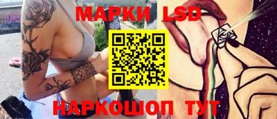дмт Аргун