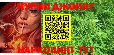 дмт Аргун