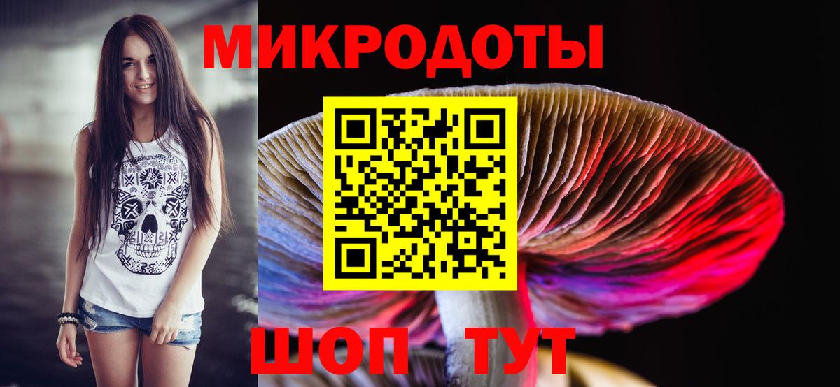 Бийск  Галлюциногенные грибы Psilocybine cubensis  Вход с VPN 